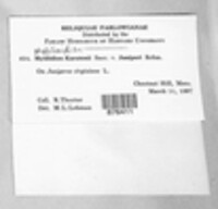 Image Associated With the Occurence